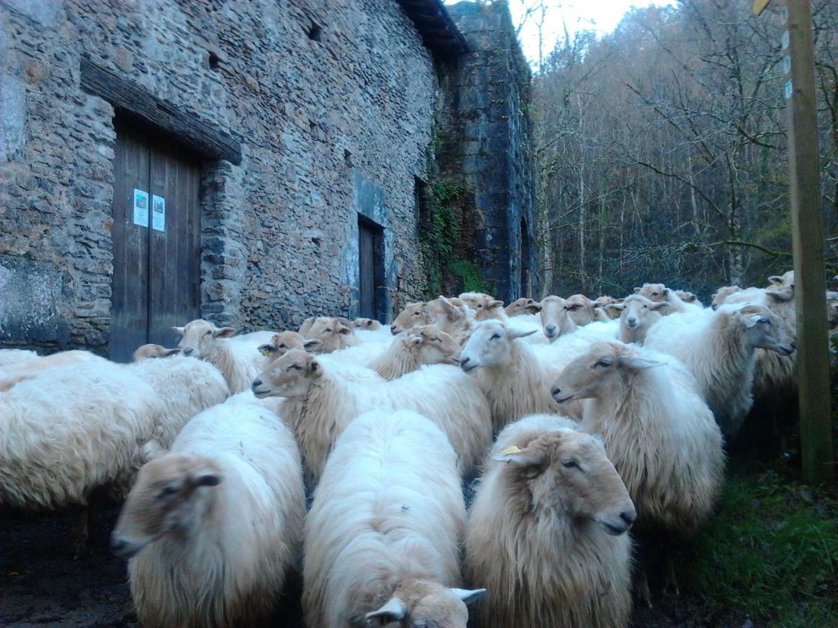 Casa Rural Orortegi Aia Buitenkant foto