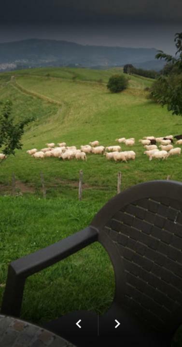 Casa Rural Orortegi Aia Buitenkant foto