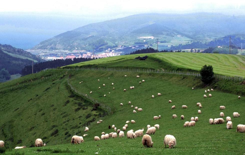 Casa Rural Orortegi Aia Buitenkant foto